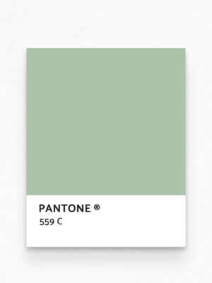 Hello Sticky - Shop - Peel & Stick Removable Wallpaper - Kids Wallpaper - Jurassic Jungle - Pantone View