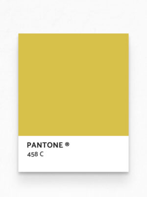 Hello Sticky - Shop - Peel & Stick Removable Wallpaper - Fruity & Floral Wallpaper - Pearfect Pears - Pantone View