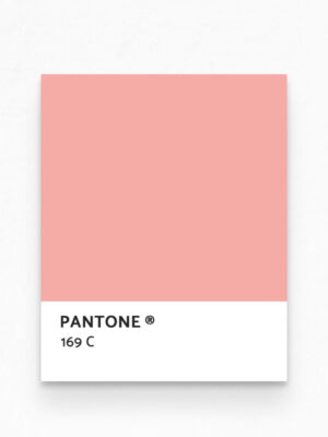 Hello Sticky - Shop - Peel & Stick Removable Wallpaper - Urban Jungle Wallpaper - Flamingos - Pantone View