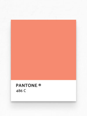 Hello Sticky - Shop - Peel & Stick Removable Wallpaper - Urban Jungle Wallpaper - Modern Palms - Pantone View