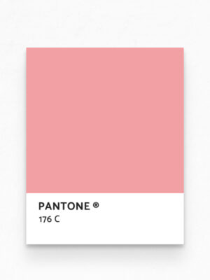 Hello Sticky - Shop - Peel & Stick Removable Wallpaper - Urban Jungle Wallpaper - Seafoam Flamingos - Pantone View