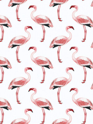 Hello Sticky - Shop - Peel & Stick Removable Wallpaper - Urban Jungle Wallpaper - Simply Flamingos - Zoomed In View