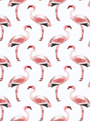 Hello Sticky - Shop - Peel &Amp; Stick Removable Wallpaper - Urban Jungle Wallpaper - Simply Flamingos - Zoomed In View