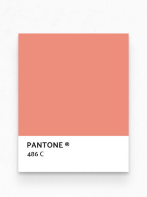 Hello Sticky - Shop - Peel & Stick Removable Wallpaper - Stripe, Spot & Dot Wallpaper - Marker Magic - Pantone View