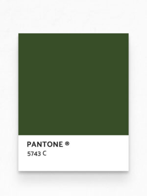 Hello Sticky - Shop - Peel & Stick Removable Wallpaper - Urban Jungle Wallpaper - Birds of Paradise - Pantone View