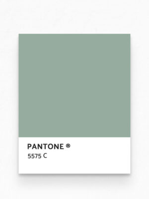 Hello Sticky - Shop - Peel & Stick Removable Wallpaper - Urban Jungle Wallpaper - Desert Palms - Pantone View