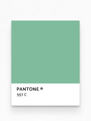 Hello Sticky - Shop - Peel & Stick Removable Wallpaper - Urban Jungle Wallpaper - Pink & Palm - Pantone View