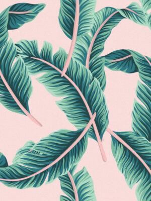 Hello Sticky - Shop - Peel & Stick Removable Wallpaper - Urban Jungle Wallpaper - Pink & Palm - Zoomed In View