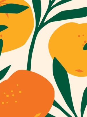 Hello Sticky - Shop - Peel & Stick Removable Wallpaper - Fruity & Floral Wallpaper - Orange Blossom - Zoomed In View