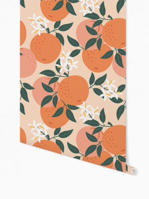 Hello Sticky - Shop - Peel &Amp; Stick Removable Wallpaper - Fruity &Amp; Floral Wallpaper - Orange You Glad - Roll 1 View