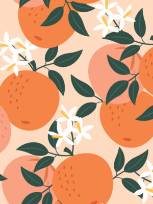 Hello Sticky - Shop - Peel &Amp; Stick Removable Wallpaper - Fruity &Amp; Floral Wallpaper - Orange You Glad - Zoomed In View