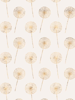 Hello Sticky - Shop - Peel & Stick Removable Wallpaper - Fruity & Floral Wallpaper - Whimsical Dandelion - Zoomed In View