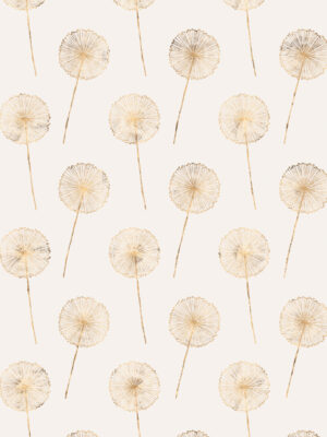 Hello Sticky - Shop - Peel &Amp; Stick Removable Wallpaper - Fruity &Amp; Floral Wallpaper - Whimsical Dandelion - Zoomed In View