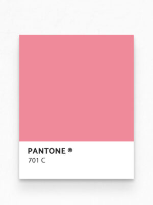 Hello Sticky - Shop - Peel & Stick Removable Wallpaper - Kids Wallpaper - Whimsical Rainbow - Pantone View