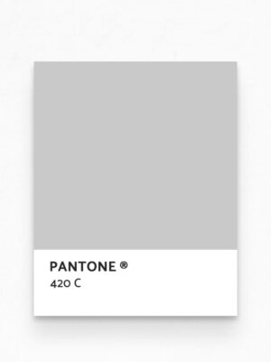 Hello Sticky - Shop - Peel & Stick Removable Wallpaper - Modern Farmhouse Wallpaper - Marble Slab - Pantone View