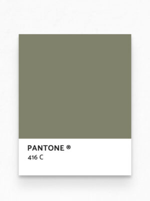 Hello Sticky - Shop - Peel & Stick Removable Wallpaper - Urban Jungle Wallpaper - After Dark Palms - Pantone View