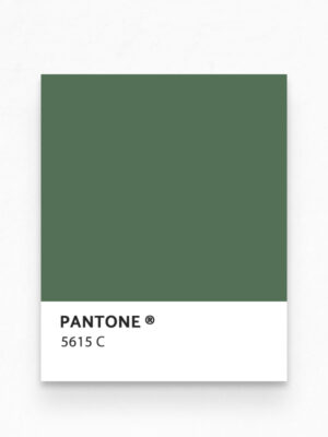 Hello Sticky - Shop - Peel & Stick Removable Wallpaper - Urban Jungle Wallpaper - Green Thumb - Pantone View