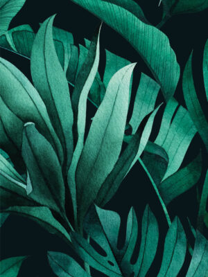 Hello Sticky - Shop - Peel & Stick Removable Wallpaper - Urban Jungle Wallpaper - Green with Envy - Zoomed In View