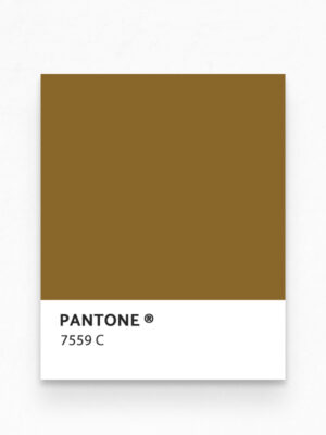 Hello Sticky - Shop - Peel & Stick Removable Wallpaper - Urban Jungle Wallpaper - Lushish Leaves - Pantone View