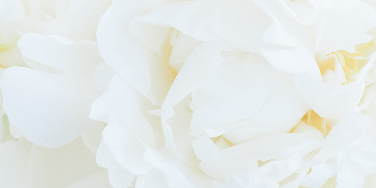 Hello Sticky - Shop - Peel & Stick Removable Wallpaper - Collections - Curated Collections - Fruity & Floral Wallpaper