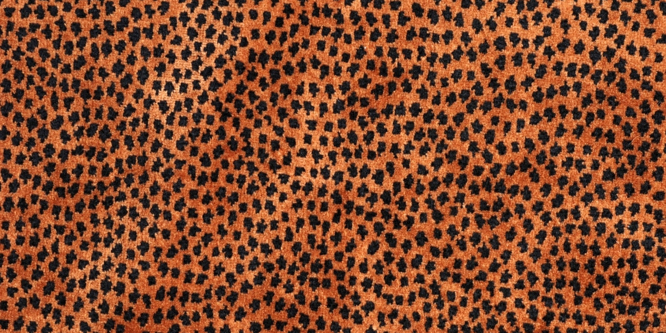 Hello Sticky - Shop - Peel & Stick Removable Wallpaper - Collections - Curated Collections - Stripe, Spot & Dot Wallpaper
