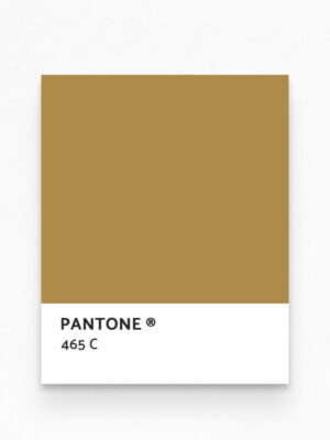 Hello Sticky - Shop - Peel & Stick Removable Wallpaper - Stripe, Spot & Dot Wallpaper - Gold Herringbone - Pantone View