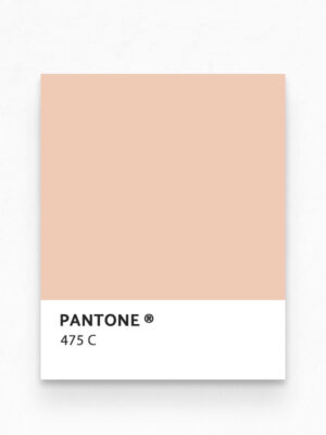 Hello Sticky - Shop - Peel & Stick Removable Wallpaper - Stripe, Spot & Dot Wallpaper - Peach Herringbone - Pantone View