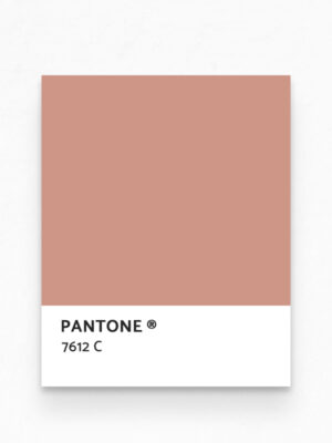 Hello Sticky - Shop - Peel & Stick Removable Wallpaper - Stripe, Spot & Dot Wallpaper - Pink Terracotta Herringbone - Pantone View