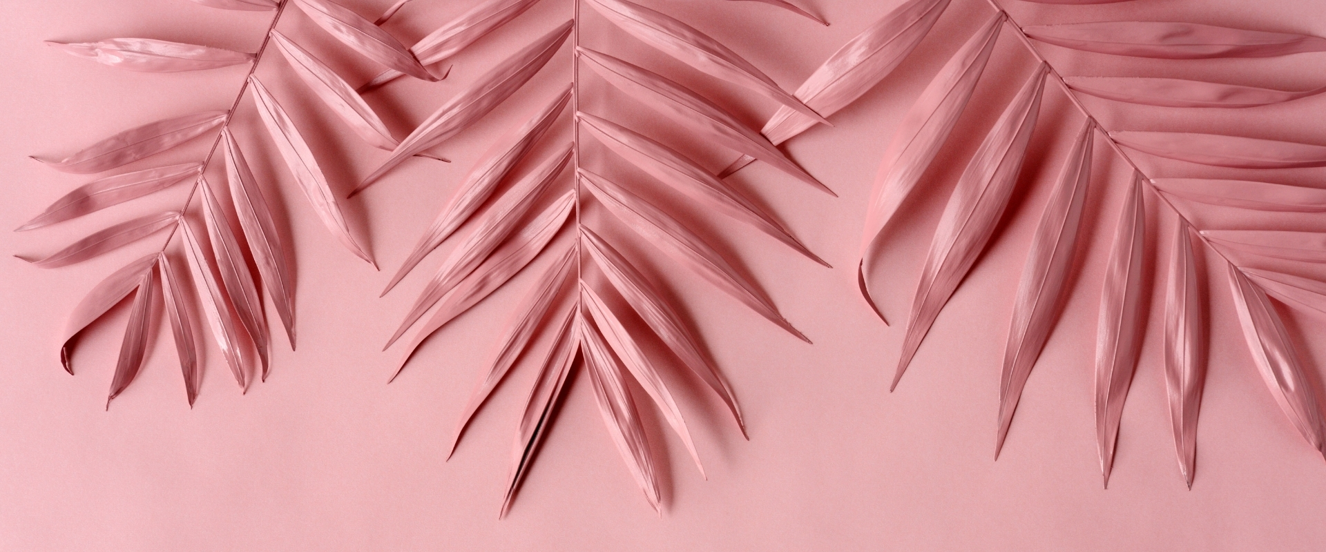 Hello Sticky - Shop - Peel & Stick Removable Wallpaper - Pink Wallpaper - Collection Header